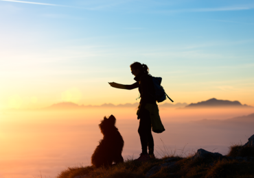 Top Tips for Taking Care of Your Dog: Keeping Your Furry Friend Happy and Healthy